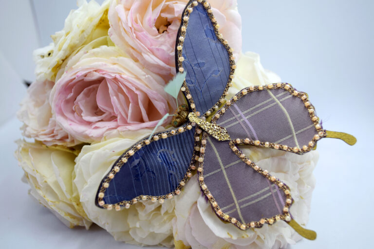 Papillon Ulysse cravaté bleu